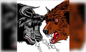 stokmarket.jpg