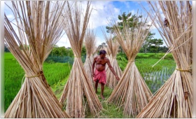 bangla-2.jpg