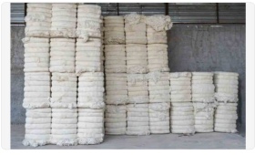 cotton.jpg