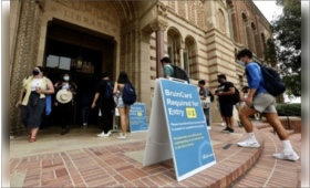 ucla.jpg