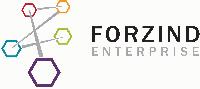Forzind Enterprise