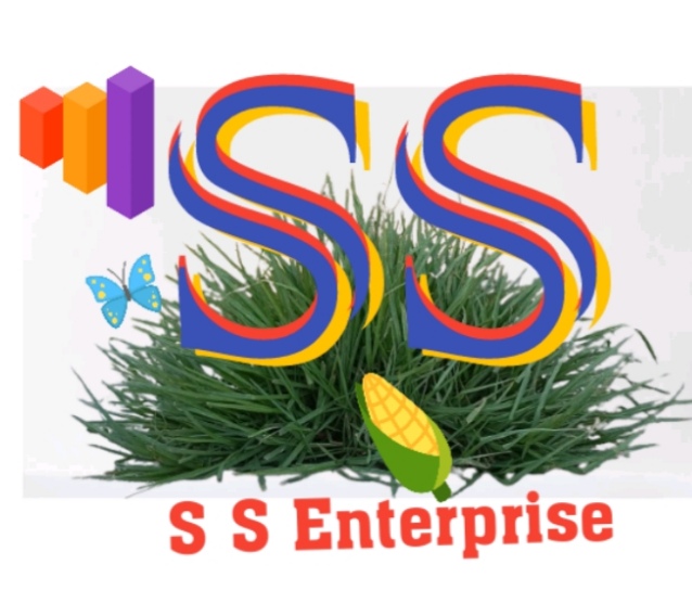 S S Enterprises