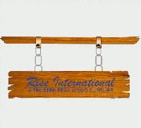 Rise International