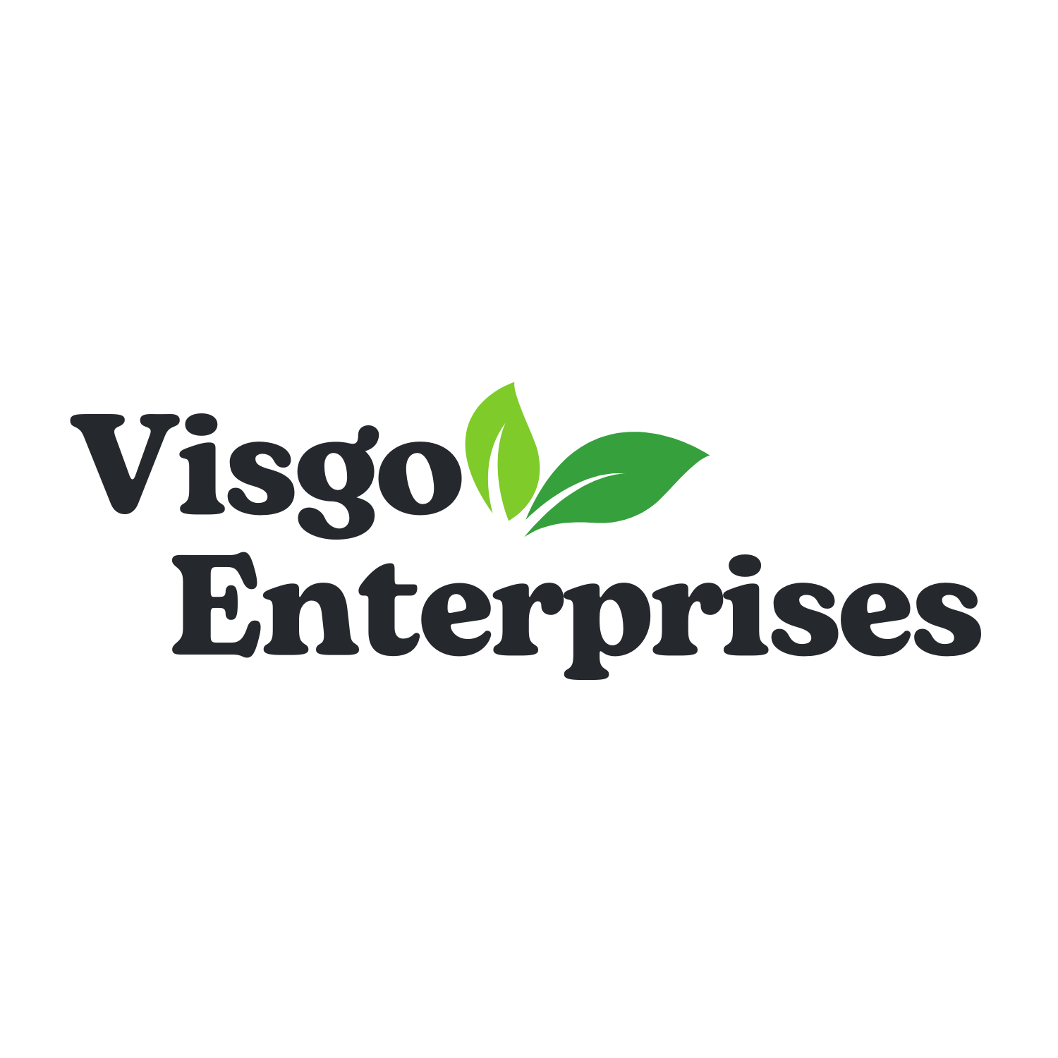Visgo Enterprises