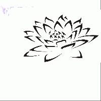 Flora Enterprises
