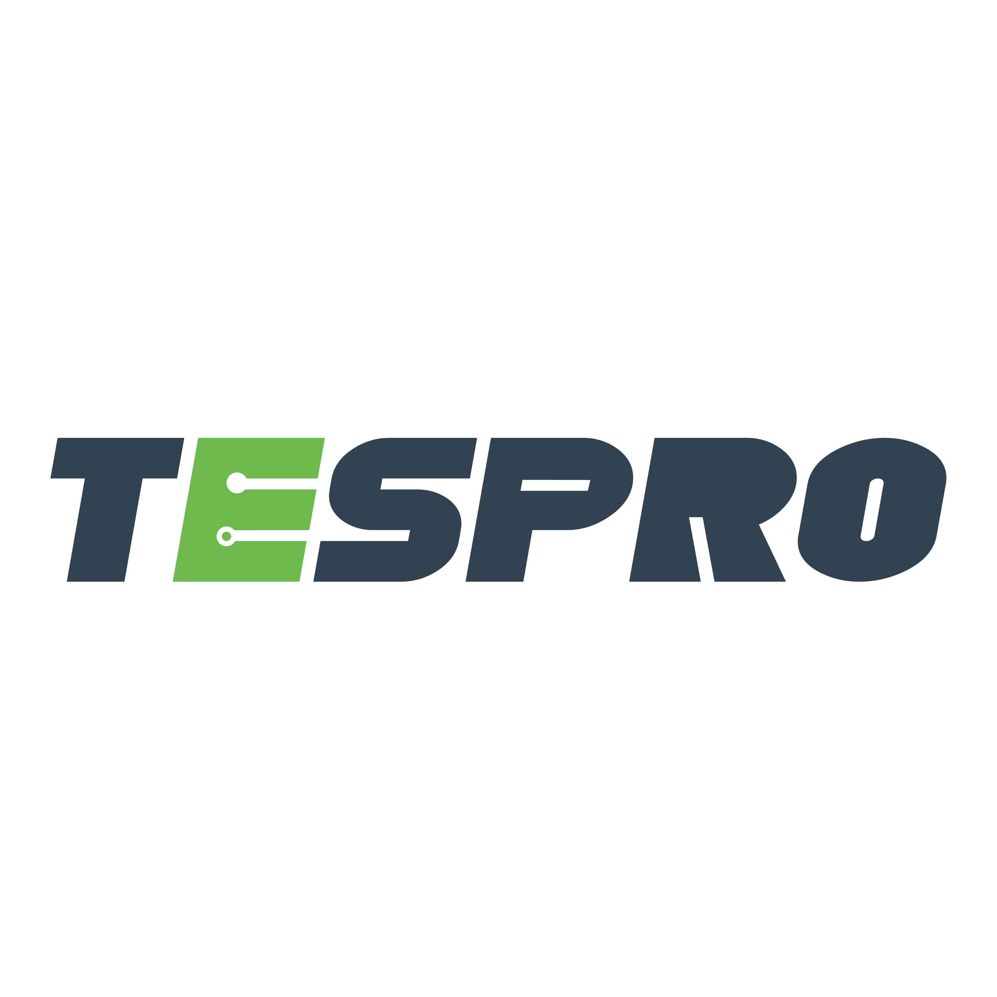 TESPRO CORP.