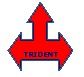 Trident Infratech