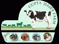 GOYAL DAIRY