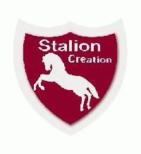 STALION CREATION