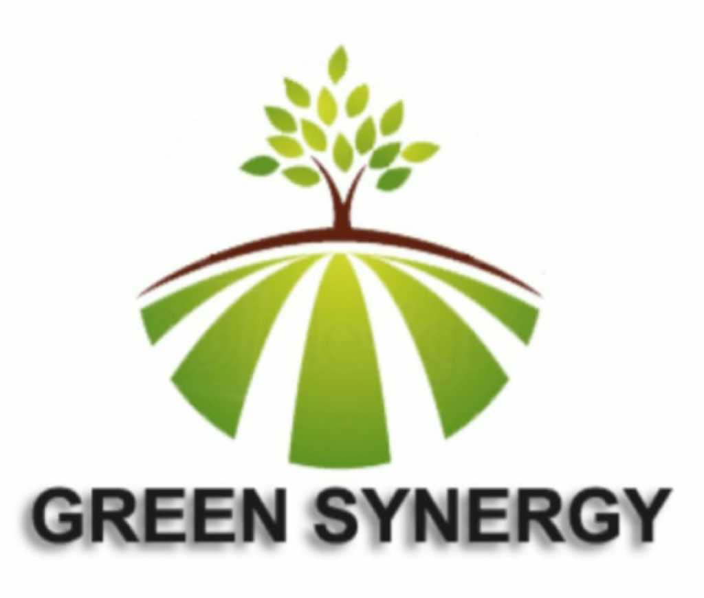 GREEN SYNERGY TRADING PRIVATE LIMITED