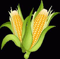 Samruddhi Agro