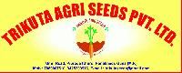 TRIKUTA AGRI SEEDS PVT. LTD.