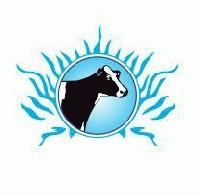 YASHWANT CATTLE FEEDS