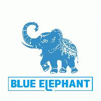 JINAN BLUE ELEPHANT CNC MACHINERY CO., LTD.