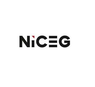 Niceg Pvt Ltd