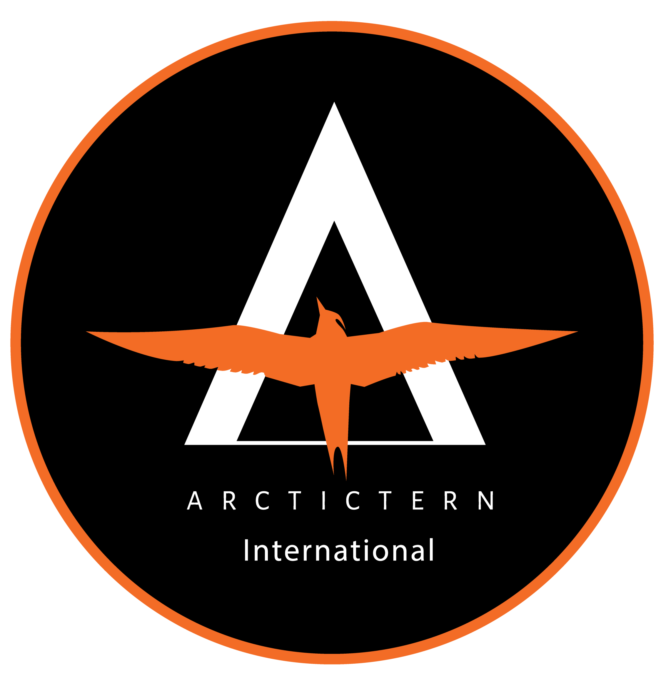 Arctic Tern International