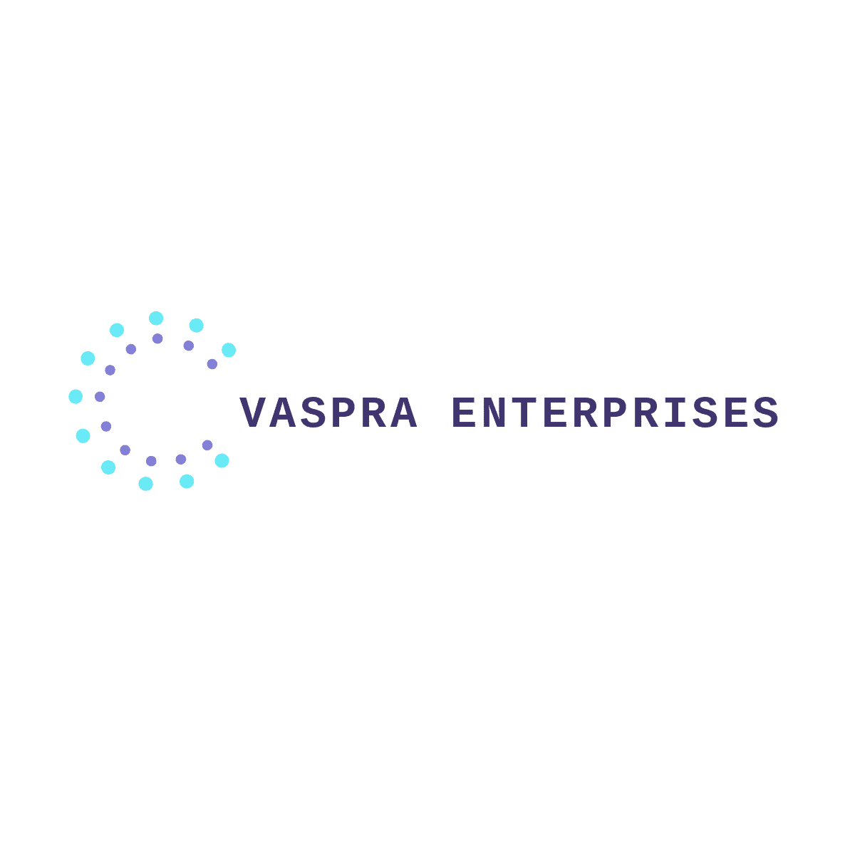 VASPRA ENTERPRISES