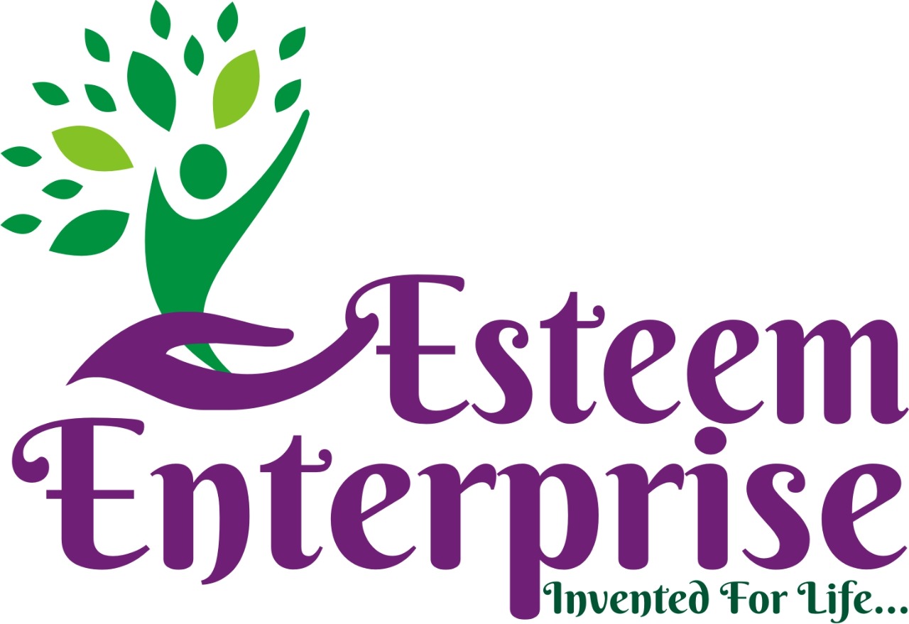 ESTEEM ENTERPRISE