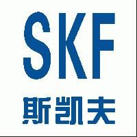 XINXIANG SKF MACHINERY CO., LTD.