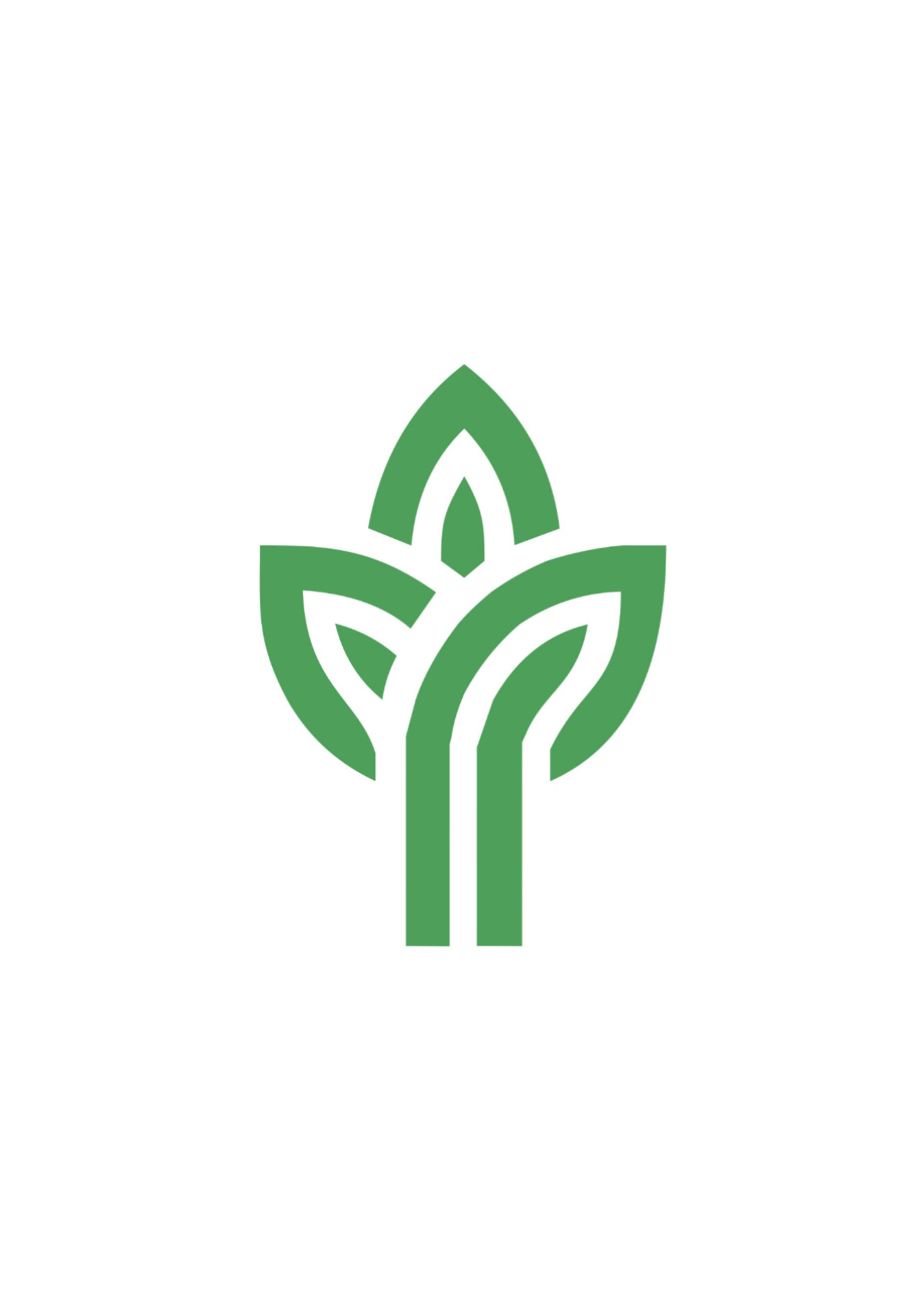 Cln Corp