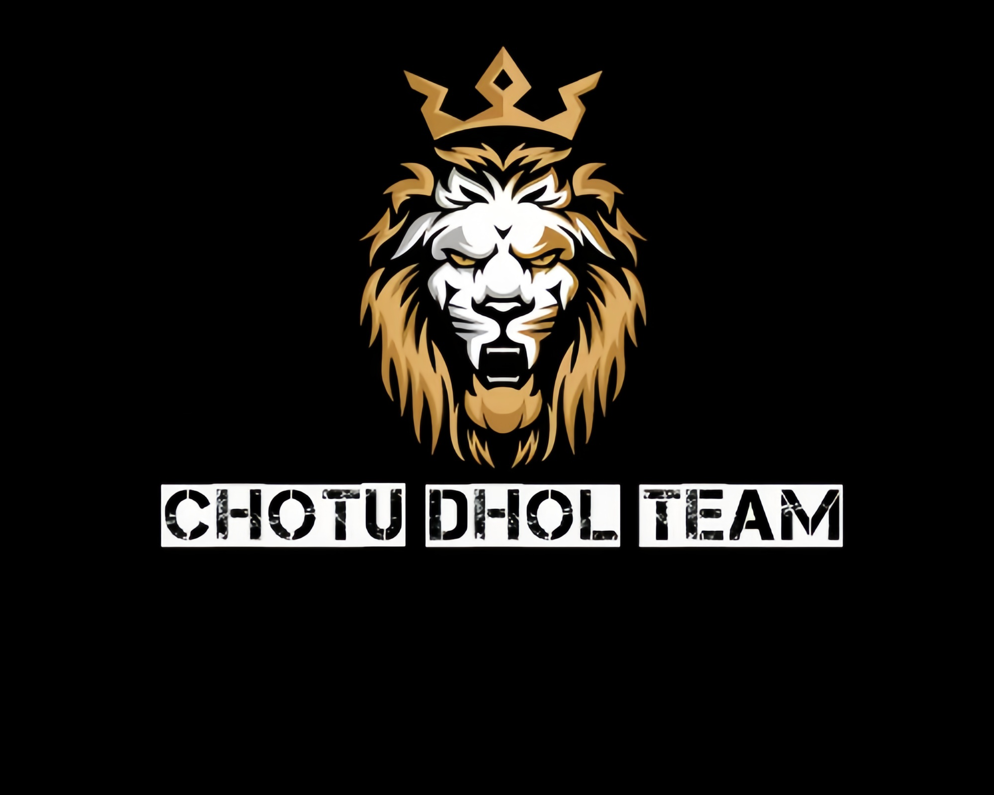 Chotu Dhol Team