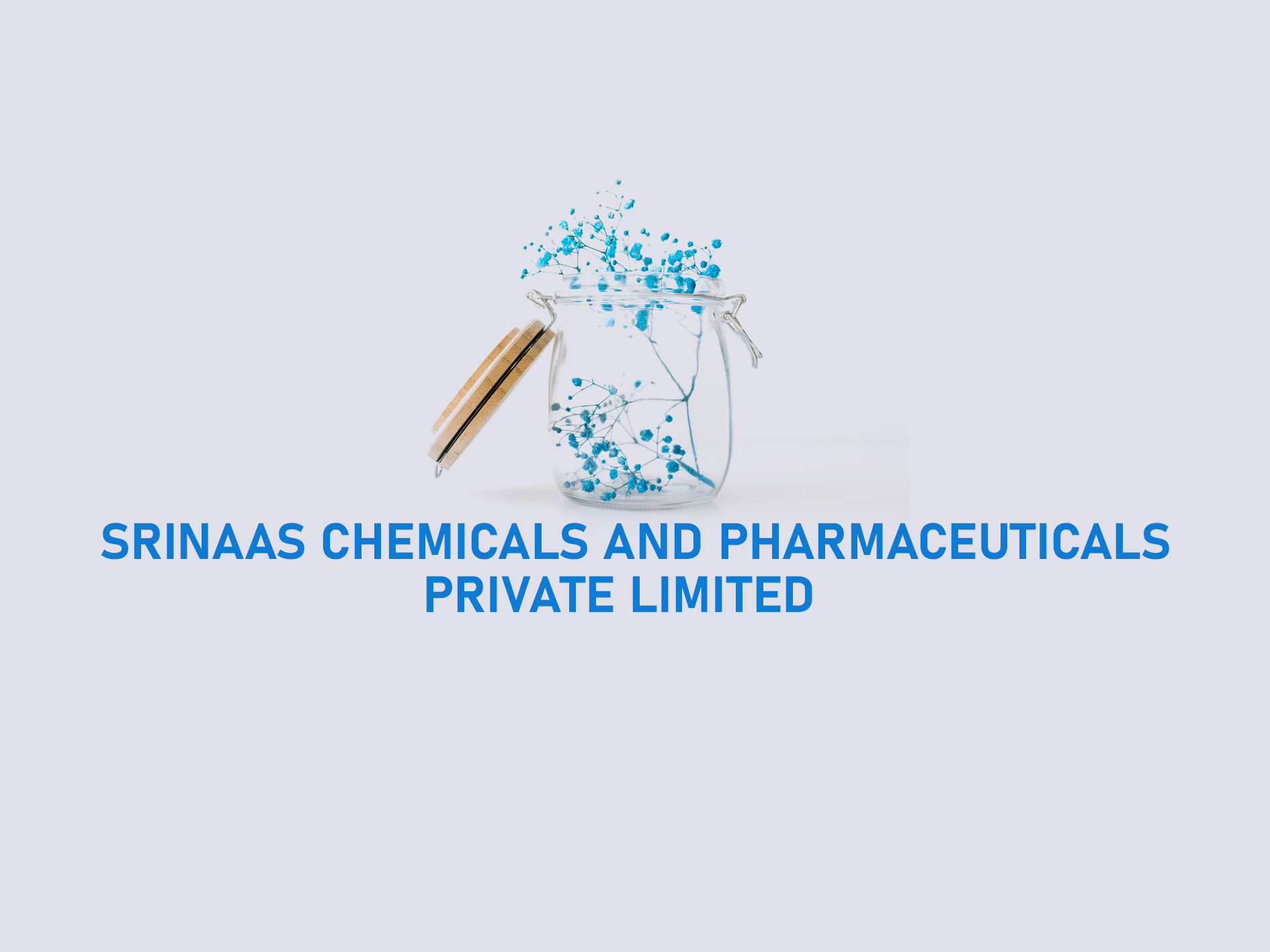 SRINAAS CHEMICALS AND PHARMACEUTICALS PRIVATE LIMITED