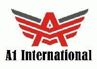 A1 International