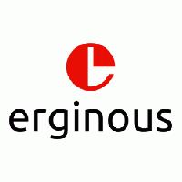 Erginous