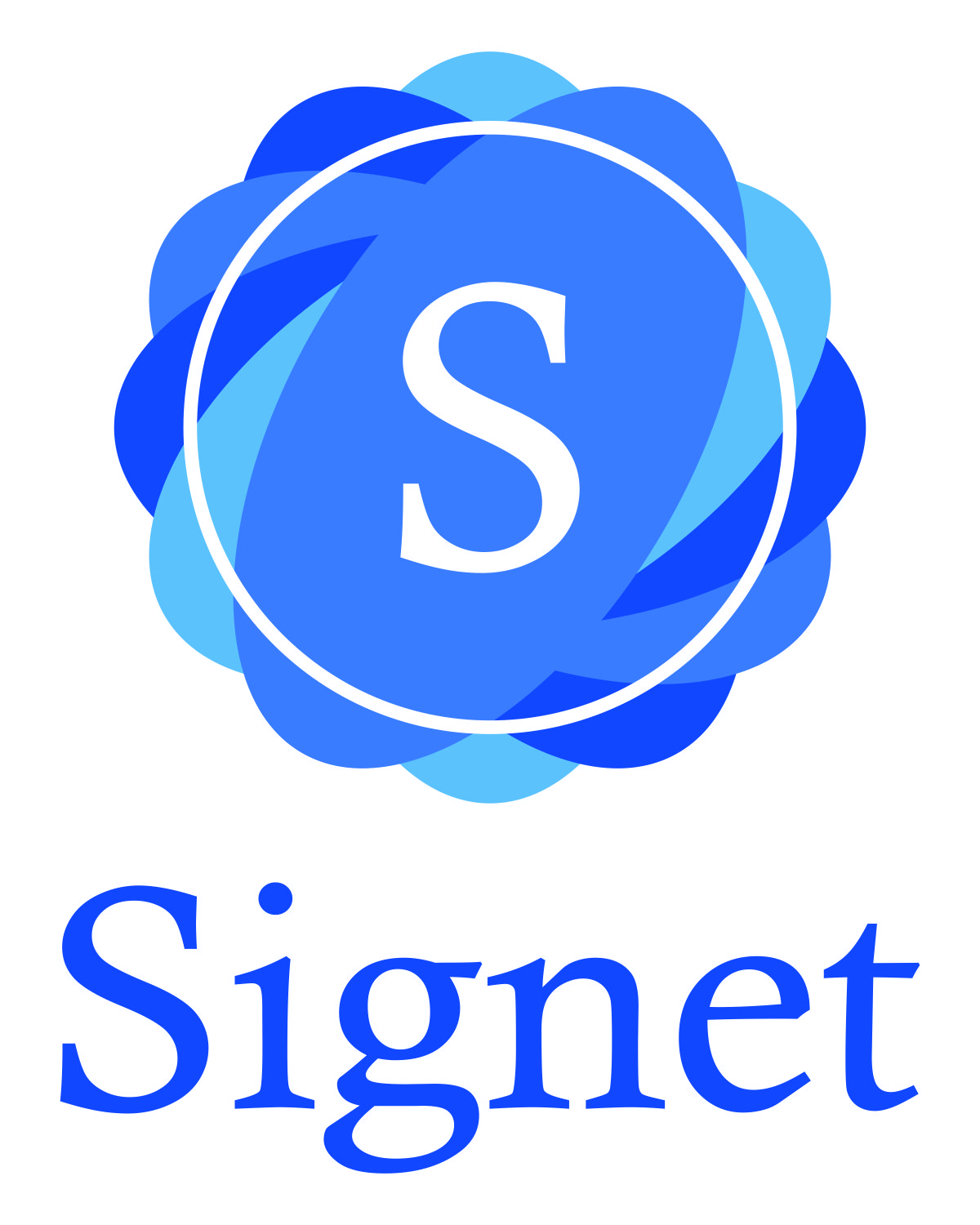 SIGNET TECHNIKS PRIVATE LIMITED