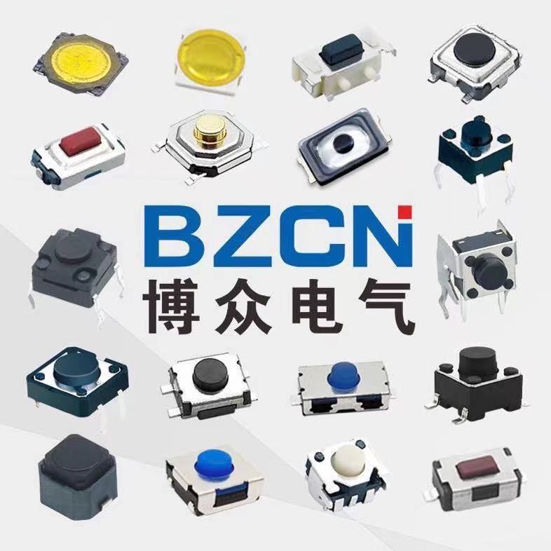 Zhejiang Bozhong Electric Co.,Ltd