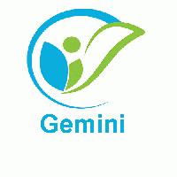 Gemini Hosiery Products
