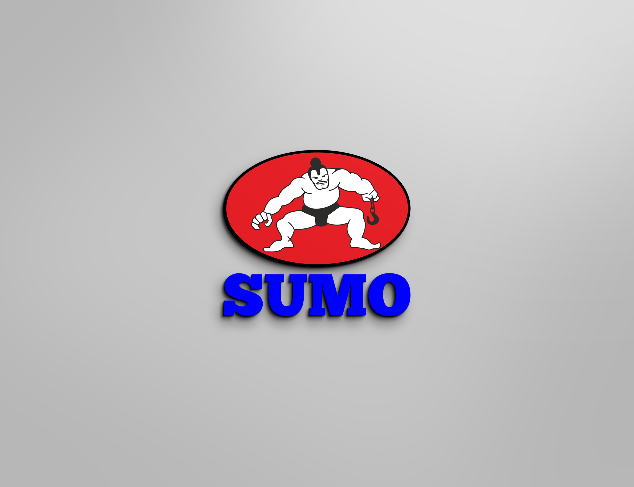 SUMO MATERIAL HANDLING SYSTEM AND SERVICE