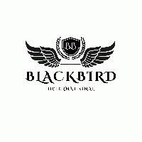 Blackbird International