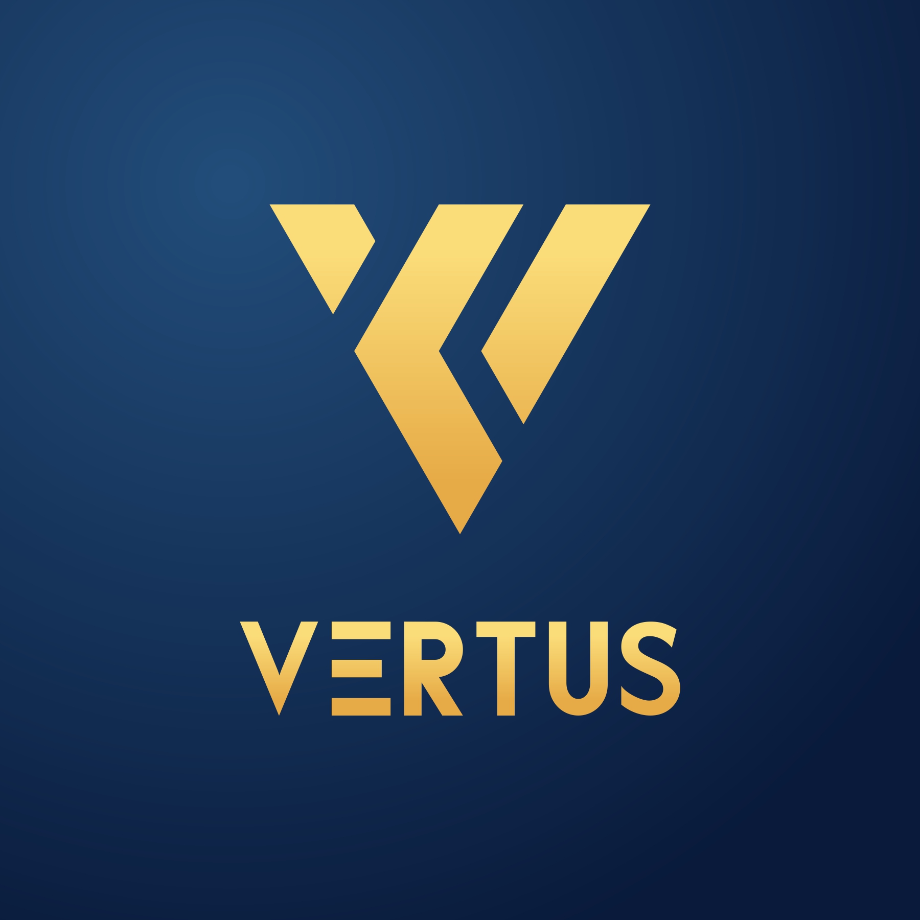 Vertus Engineering Services Private Limited