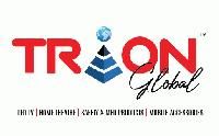 Trion Global Solution Llp