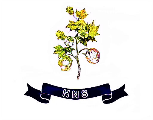 Hns International