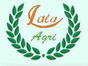 LALA TRADE