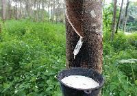 KGN RUBBER INDUSTRY