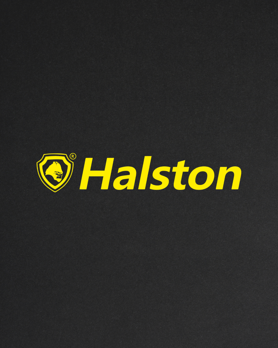 HALSTON ENTERPRISES PRIVATE LIMITED