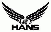 SHRI HANS TRADING CO.