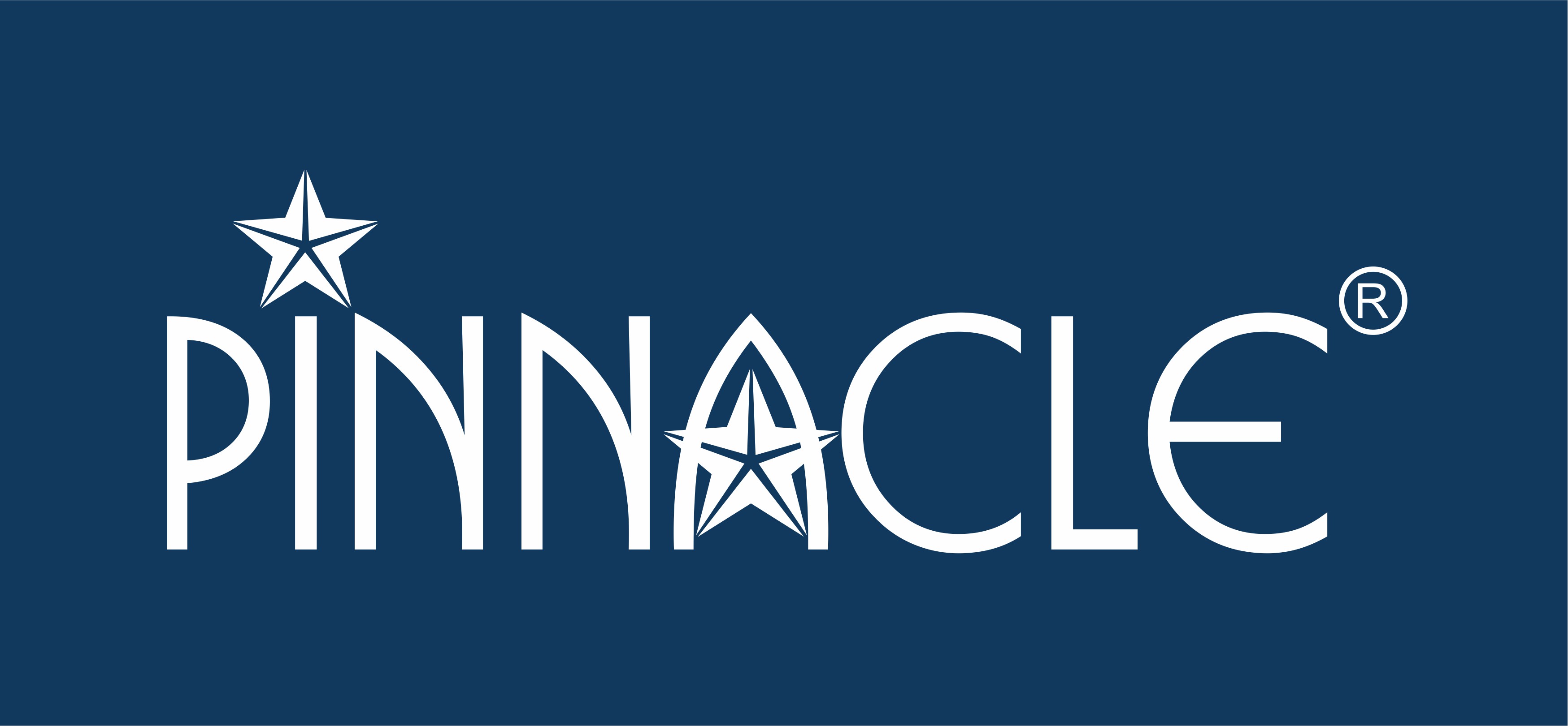 Pinnacle Rewards and Recognition (P) Ltd.