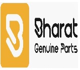 Bharat Digipay Services Llp