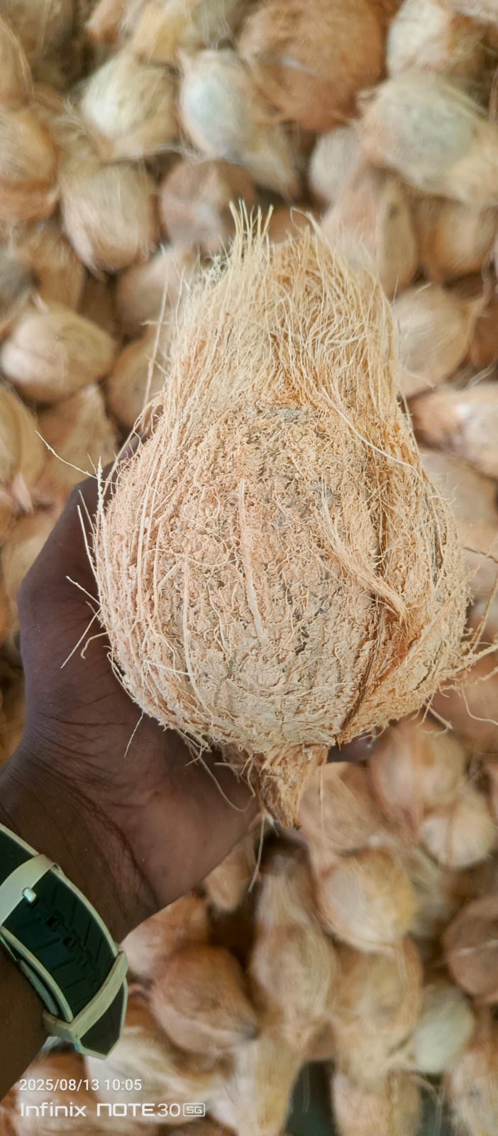 Suba Coconut Merchant