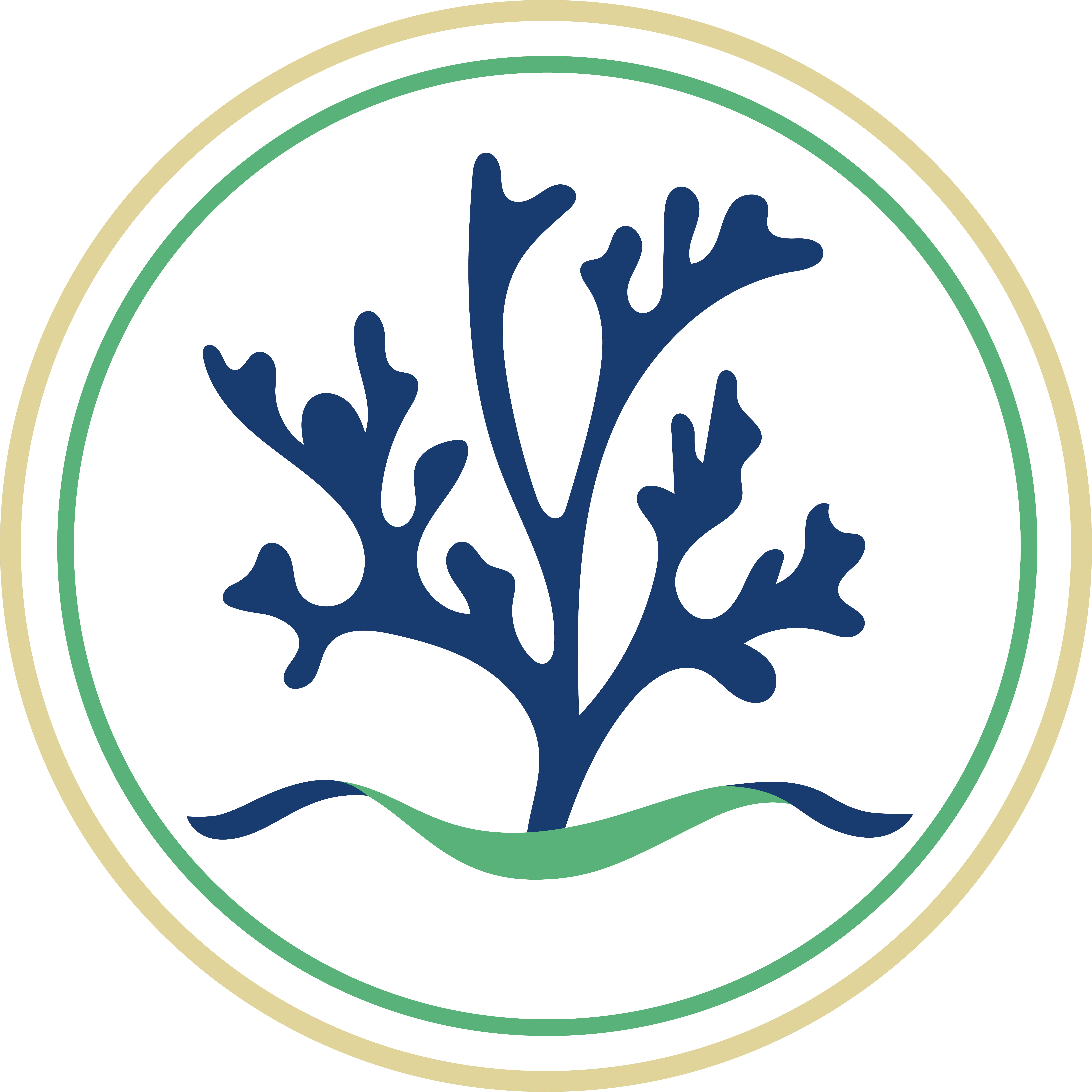 QINGDAO SEADOM PLANT NUTRITION CO., LTD.