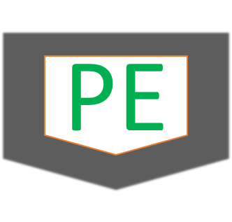 PIONEER ENTERPRISES