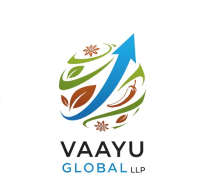 Vaayu Global LLP