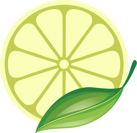 Lemon Home Appliances Pvt. Ltd.