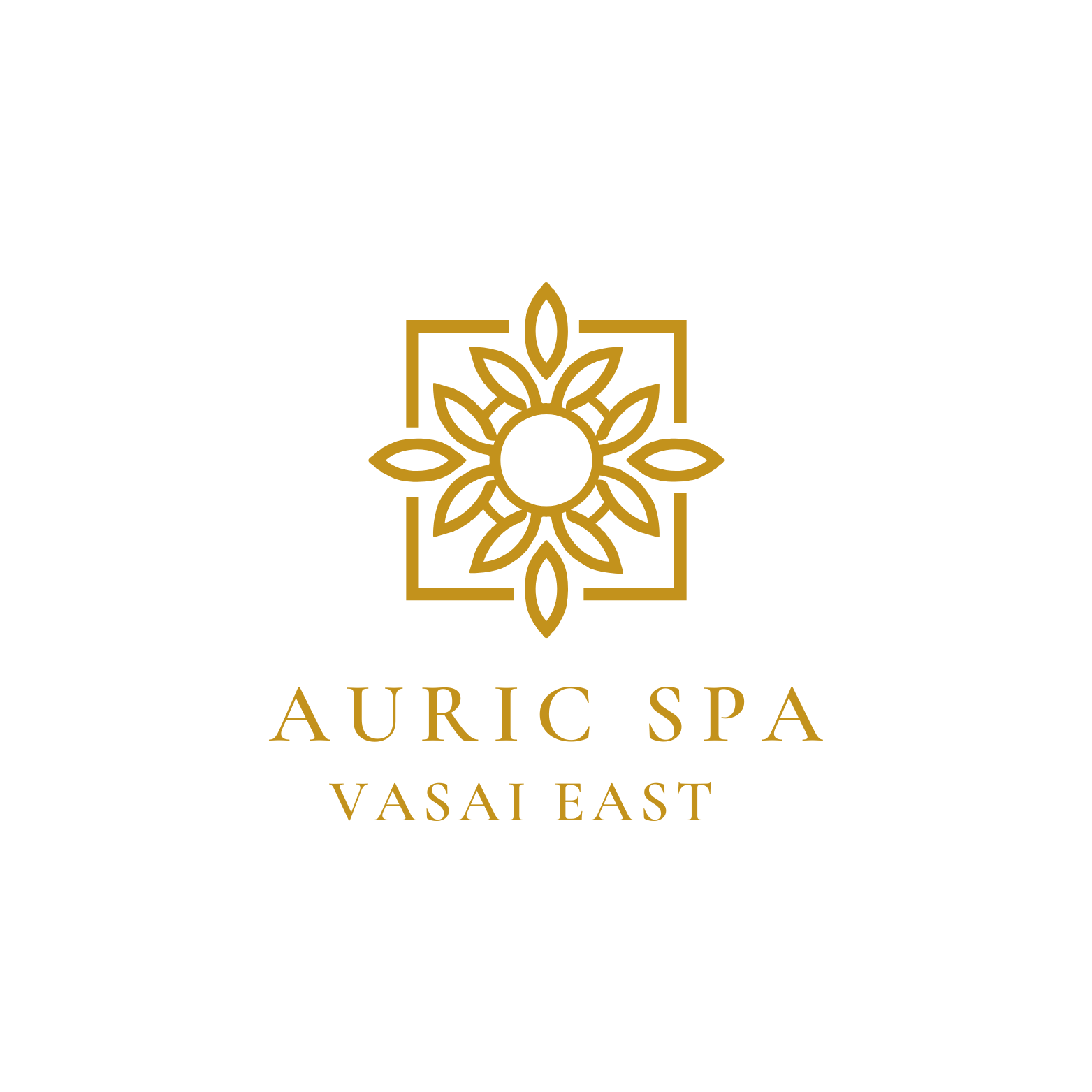 Auric Spa Vasai