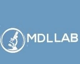 Mdl Lab Ltd