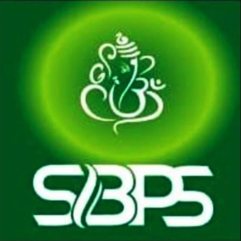 SHREE BINAYAK POWER SOLUTIONS